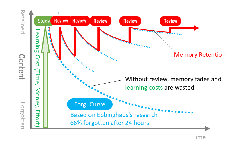 Memory retention rate timeline